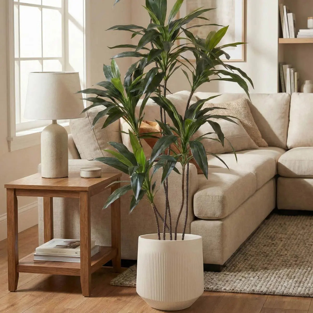 Faux-Plant Speckled Space