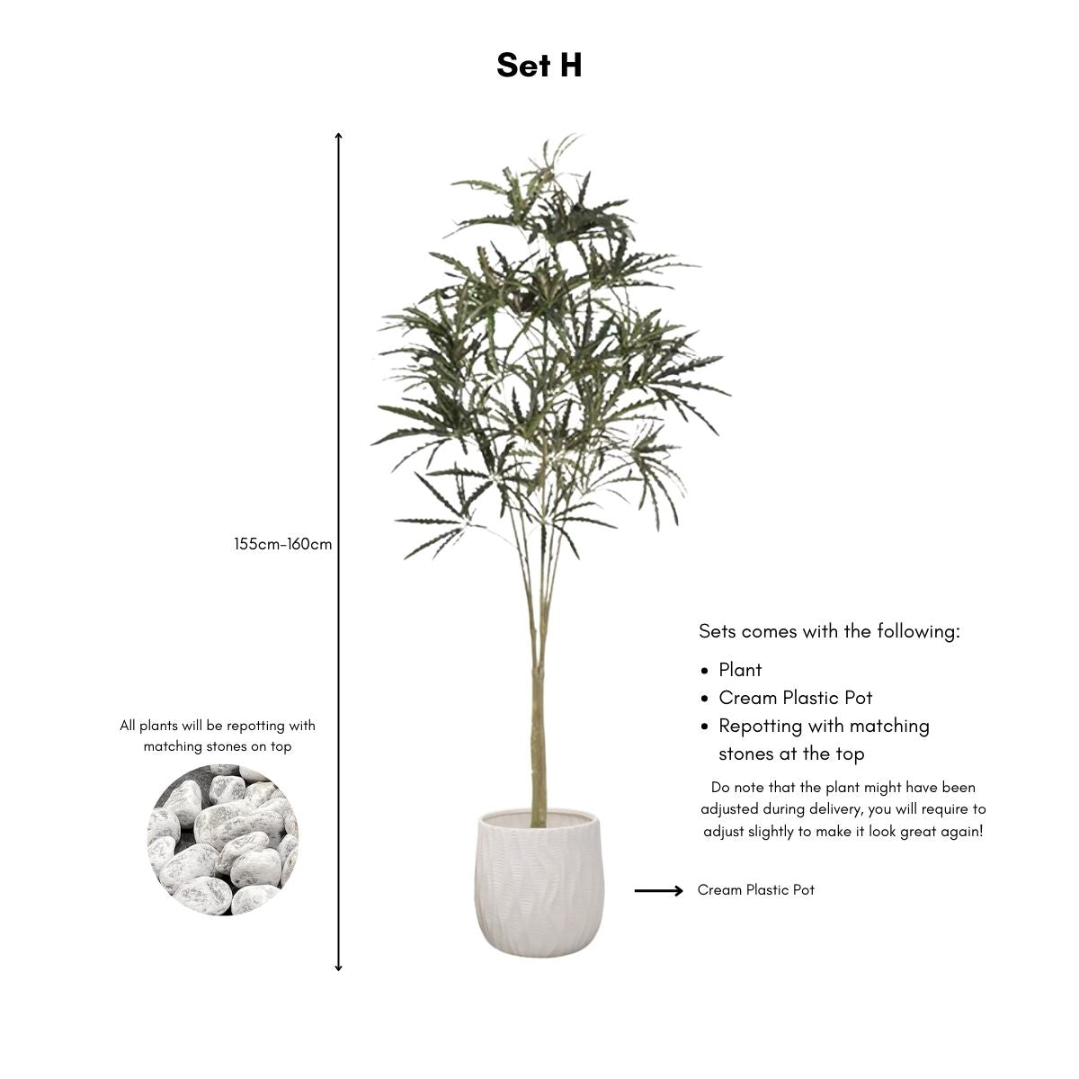 Faux False Aralia Plant