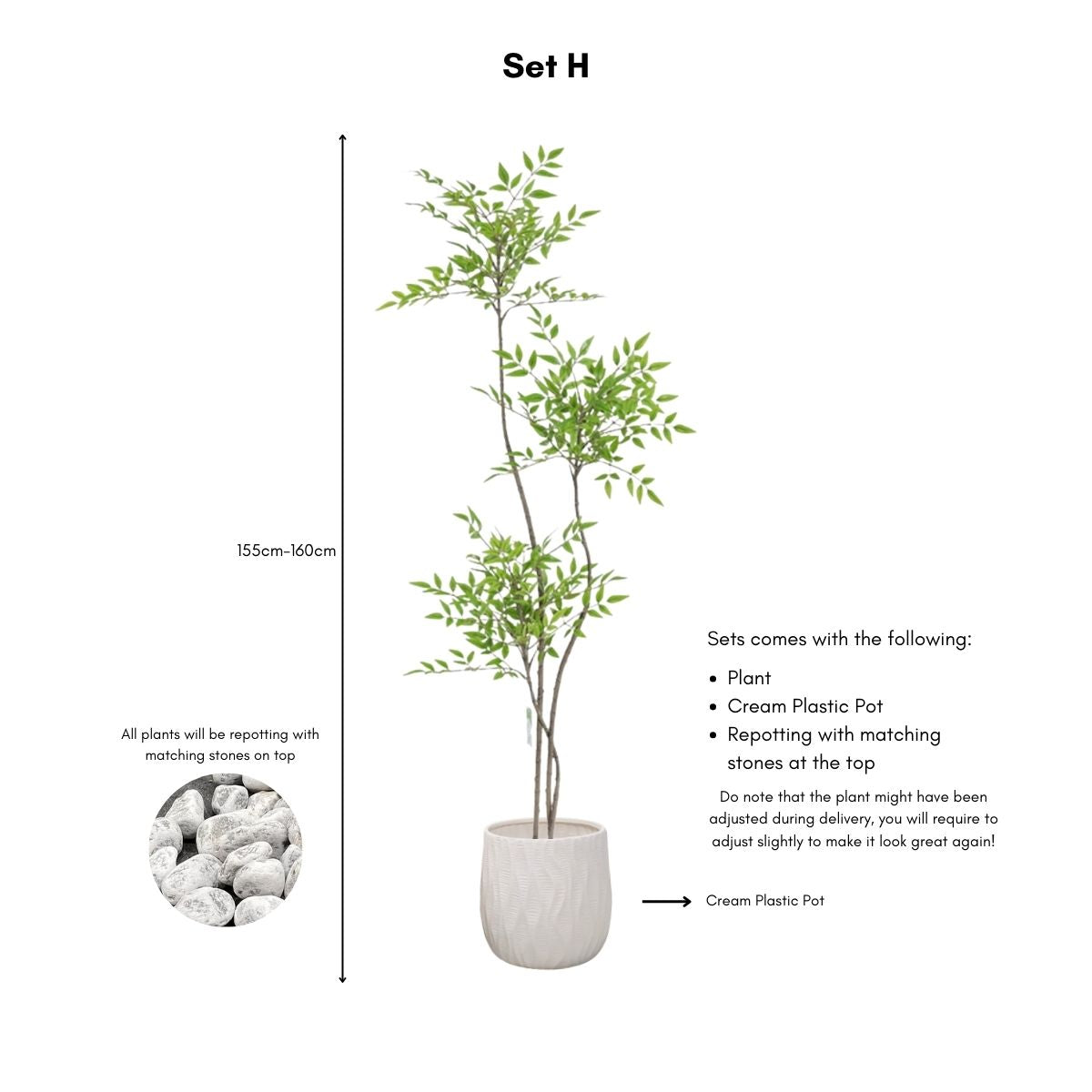 Faux Sky Bamboo Plant