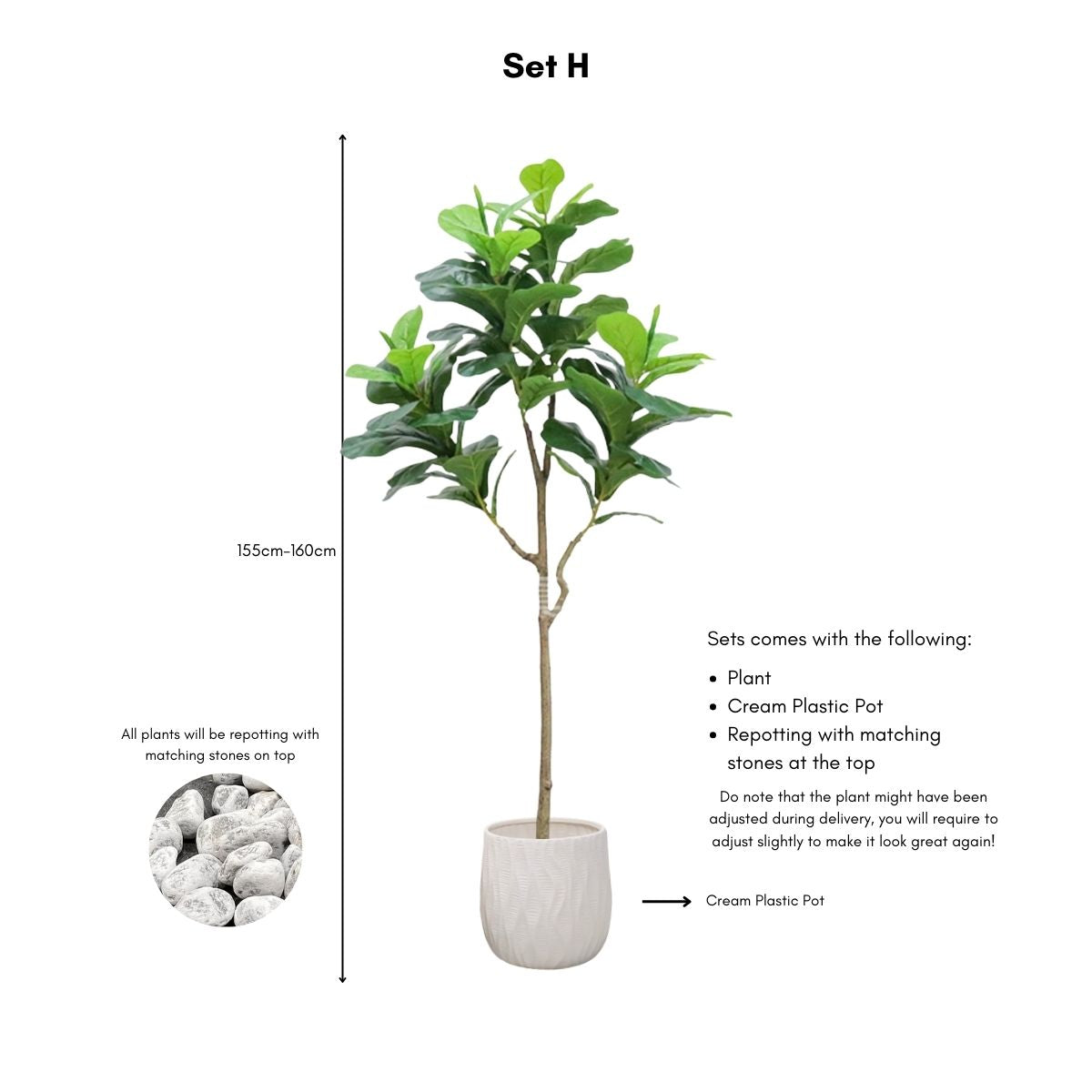 Faux Ficus Tree