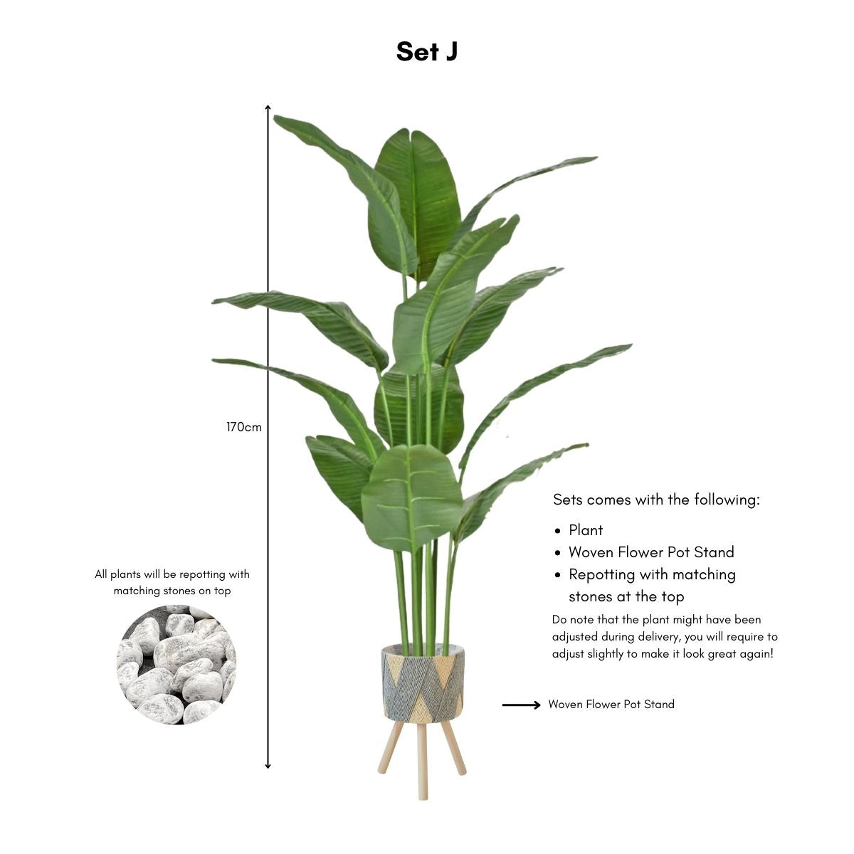 Faux Banana Leaf / Ravenala Plant - 160cm