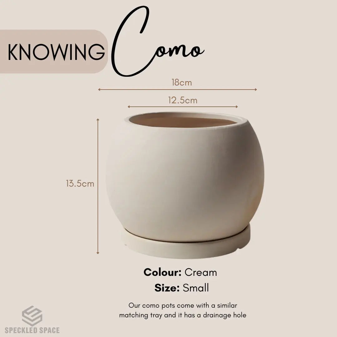 Como Ceramic Flower Pot Small & Medium Flower Pot Speckled Space