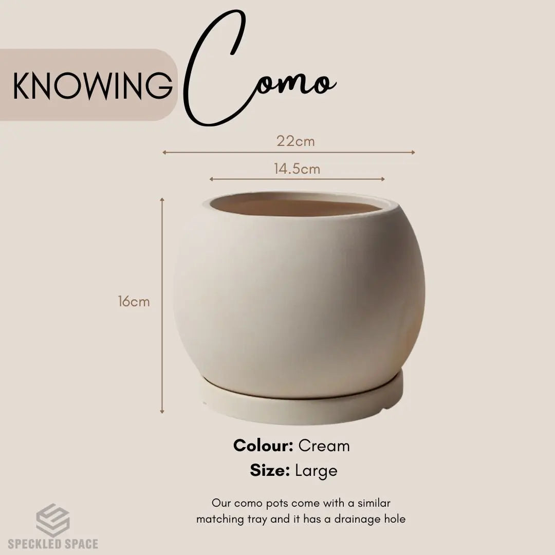 Como Ceramic Flower Pot Small & Medium Flower Pot Speckled Space