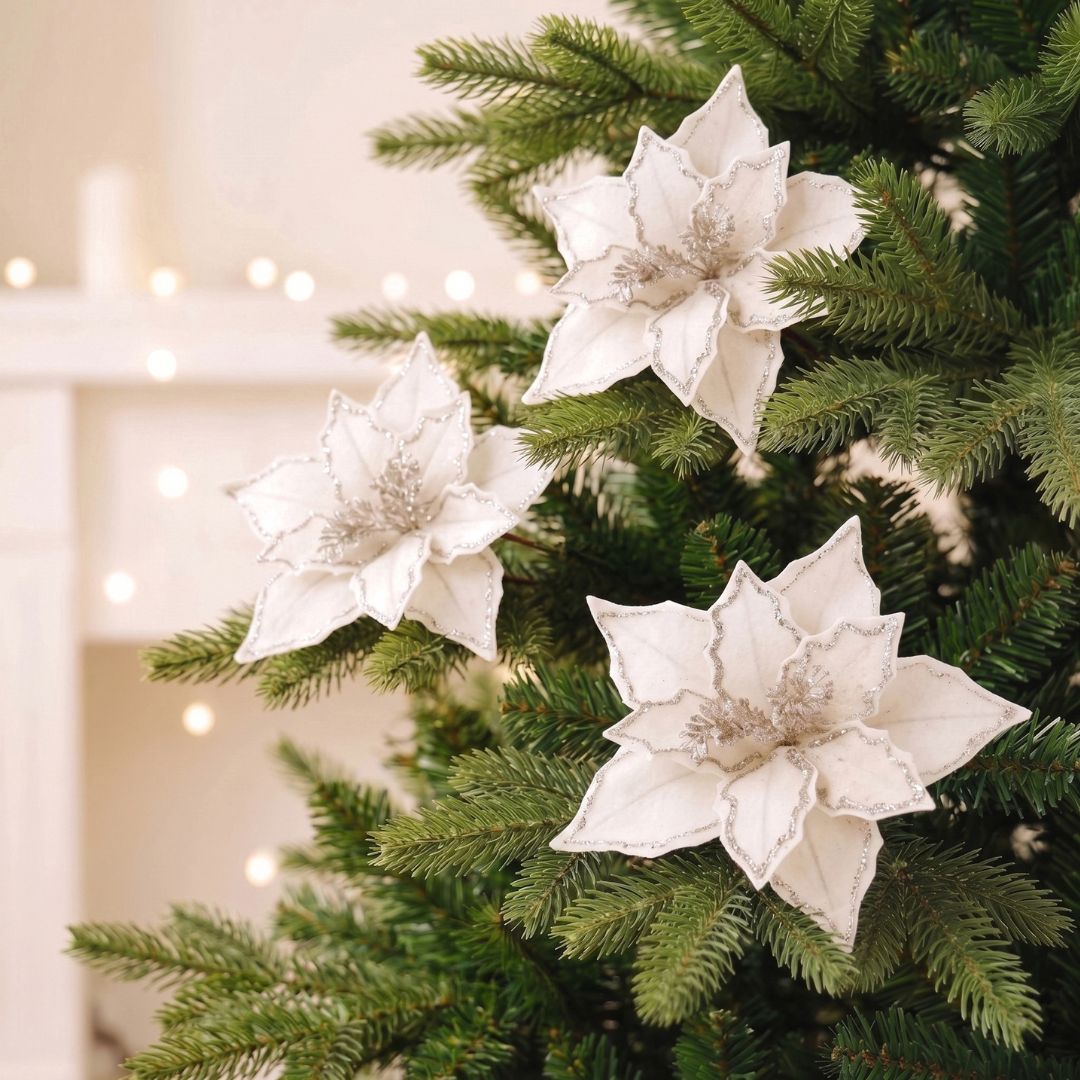 White Silver Poinsettia Flower