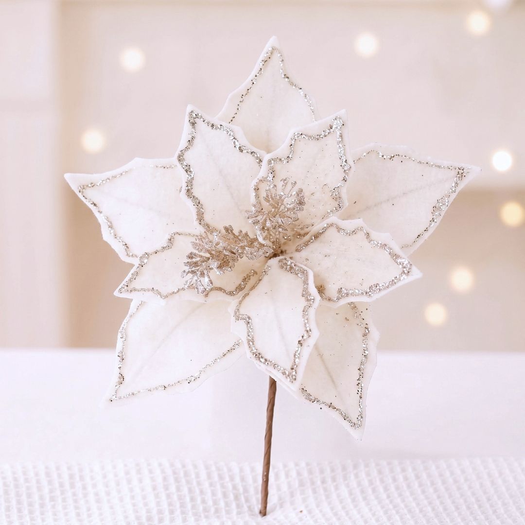 White Silver Poinsettia Flower
