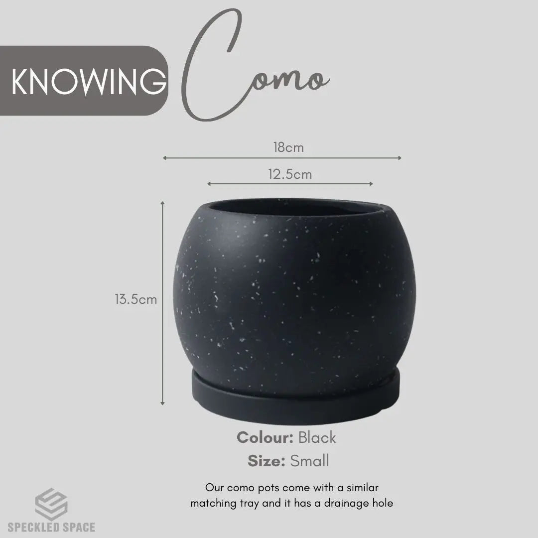 Como Ceramic Flower Pot Small & Medium Flower Pot Speckled Space