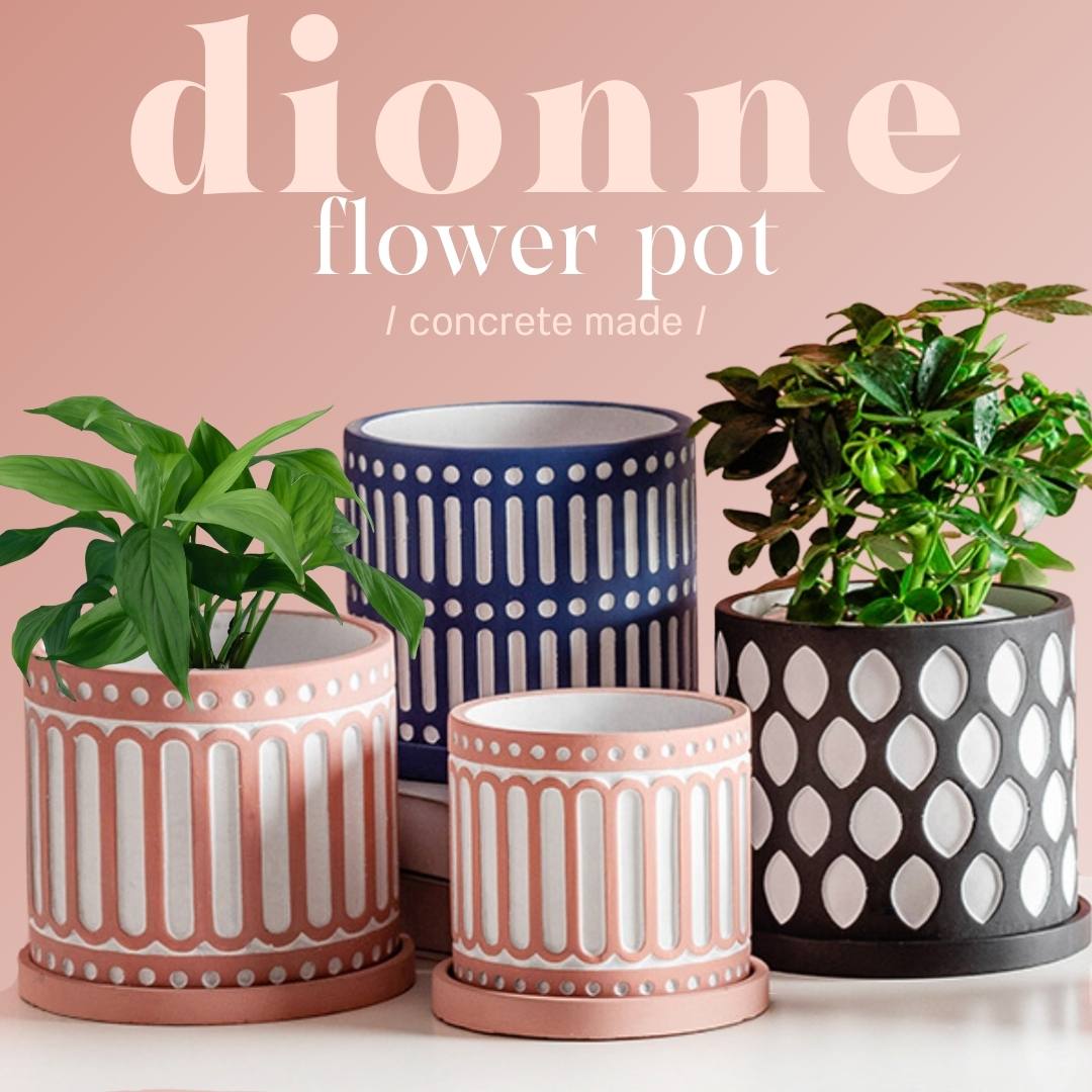 Dionne Concrete Flower Pot