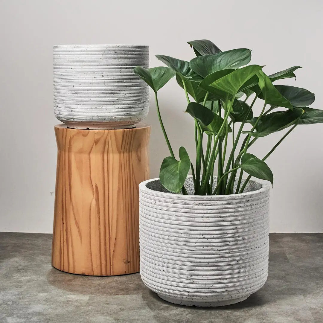 Pylota Concrete Flower Pot - N-Speckled Space