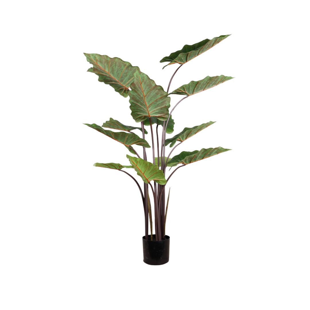 Artificial Alocasia Plant - 130cm