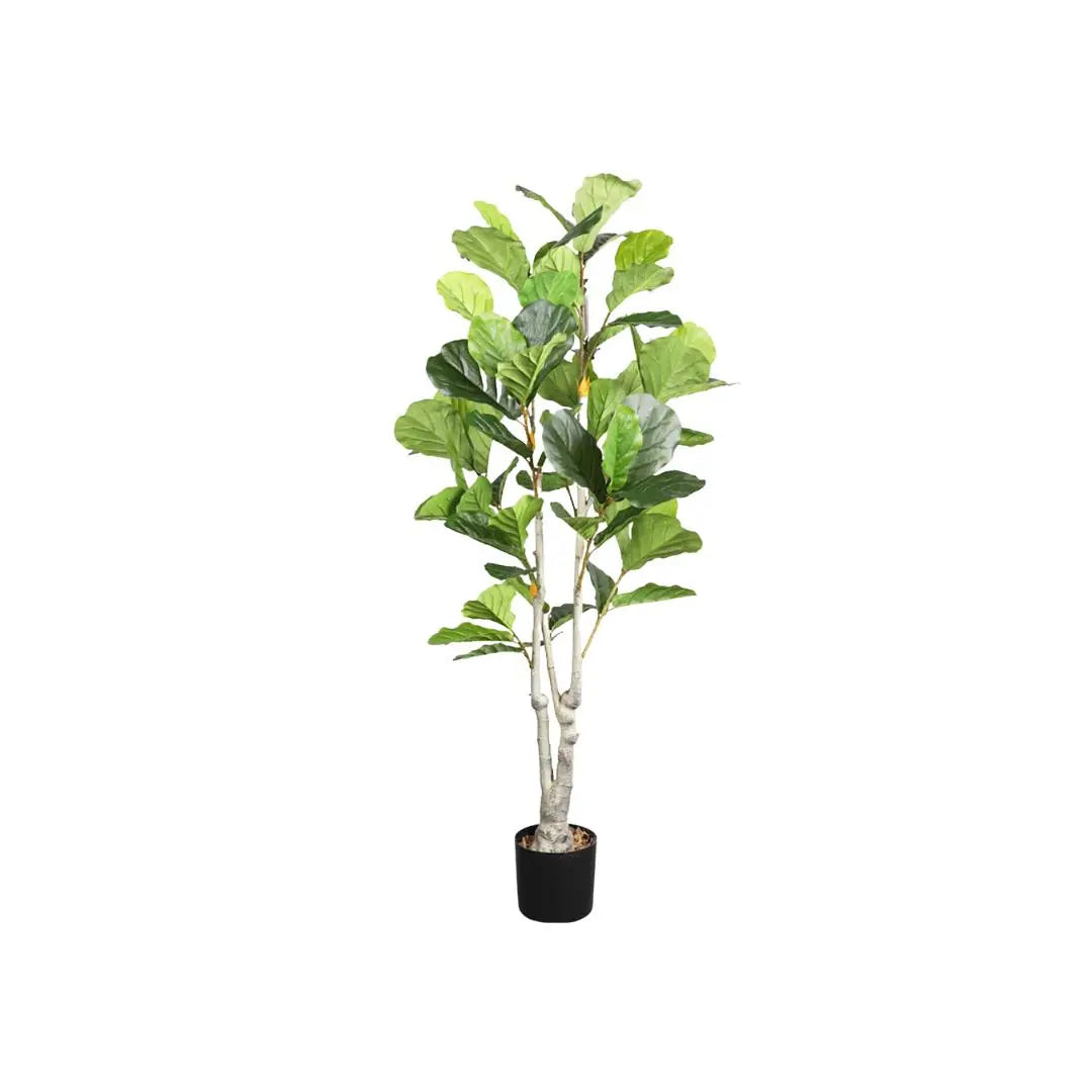 Artificial Ficus Plant - 170cm-Speckled Space