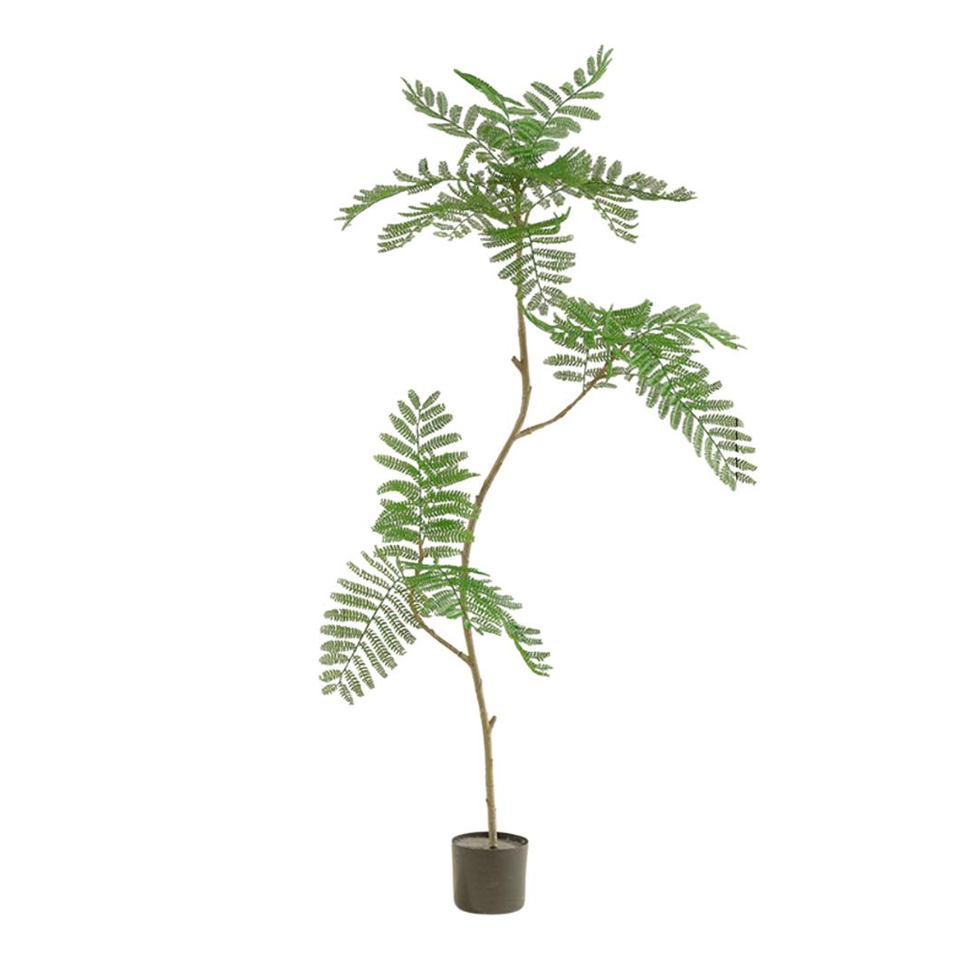 Artificial Mimosifolia Tree