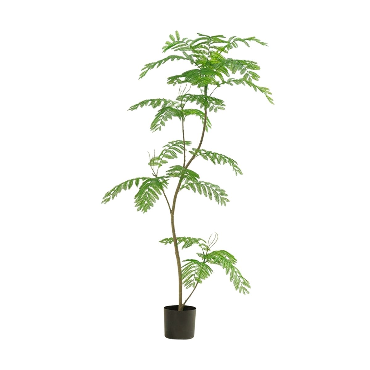 Faux Mimosifolia Tree