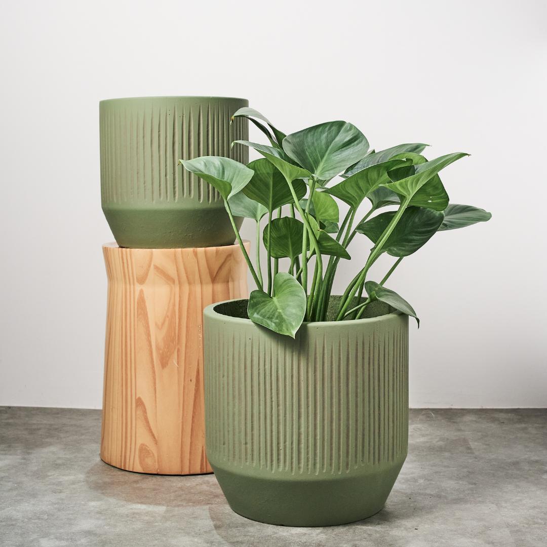 Pylota Concrete Flower Pot - P
