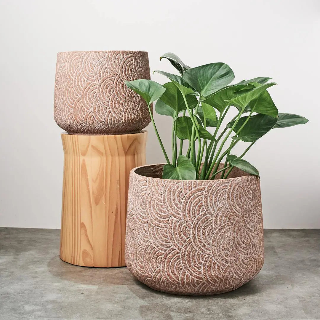 Pylota Concrete Flower Pot - Q-Speckled Space