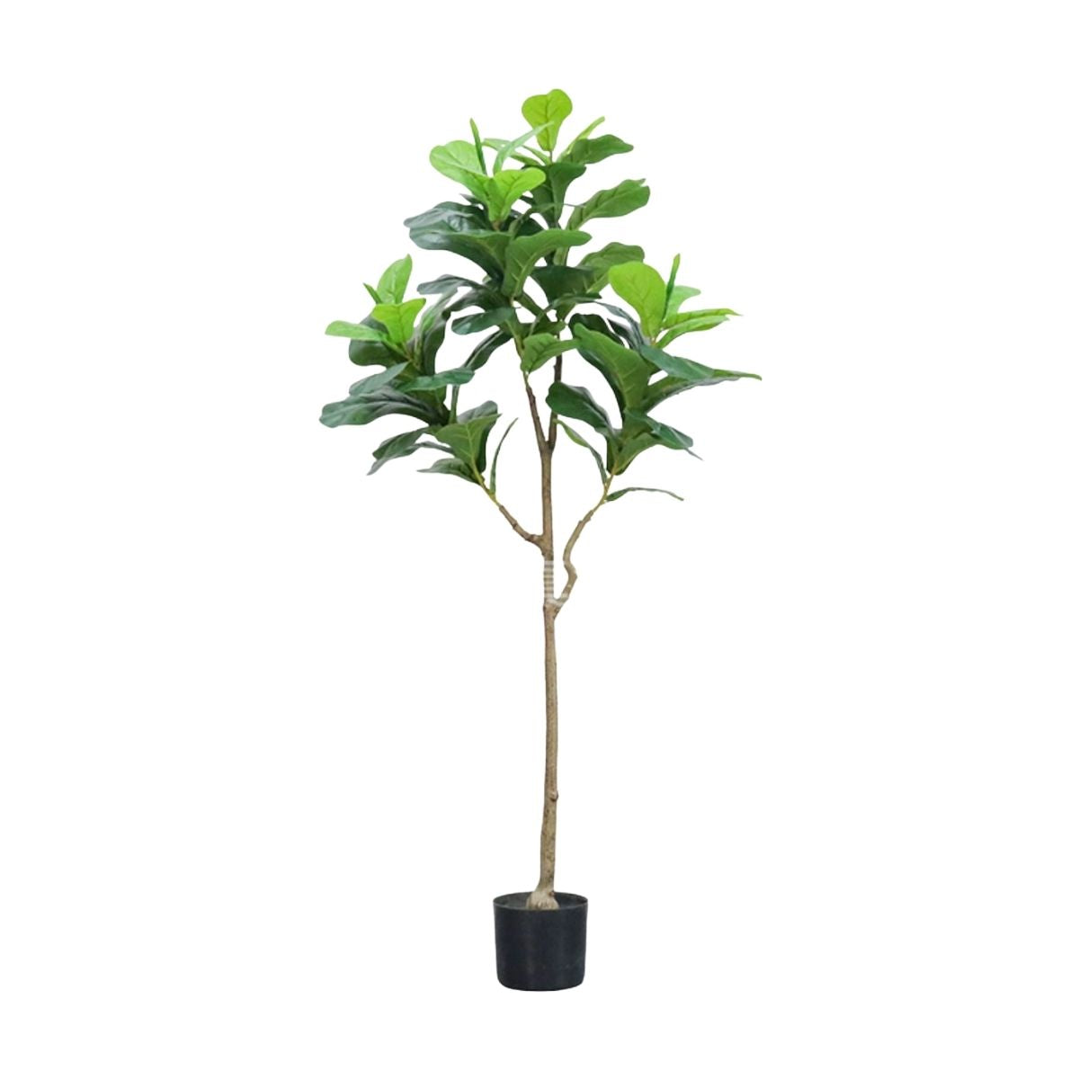 Faux Ficus Tree