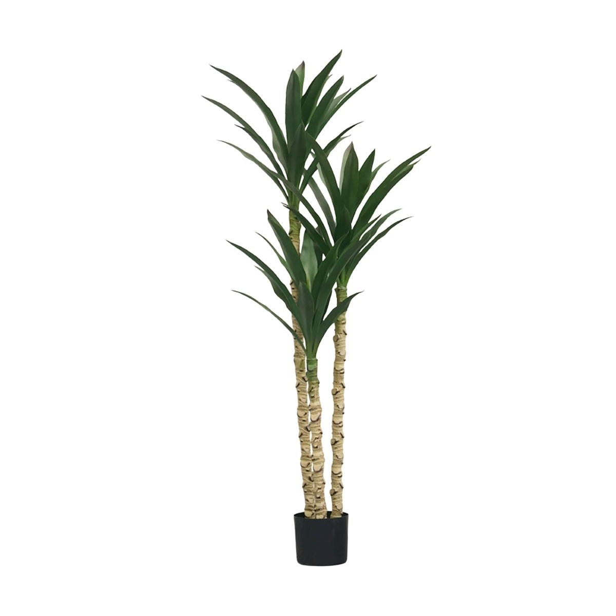 Faux Yucca Plant