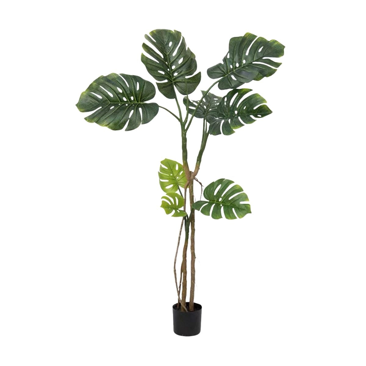 Faux Monstera Plant