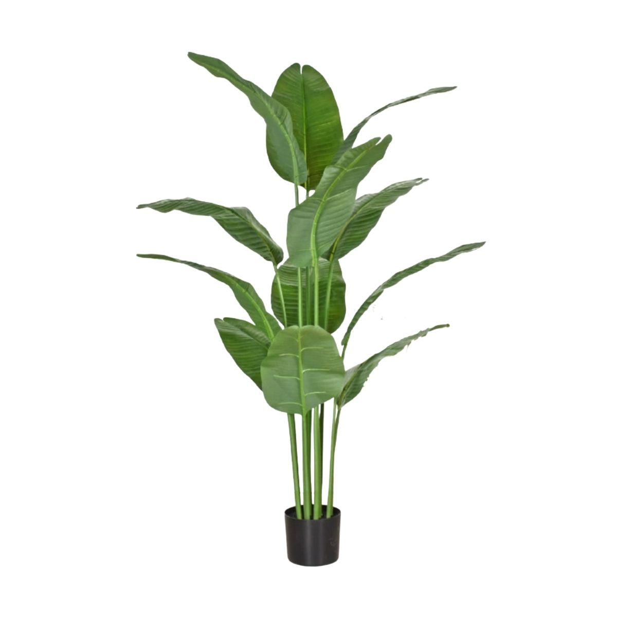 Faux Banana Leaf / Ravenala Plant - 160cm
