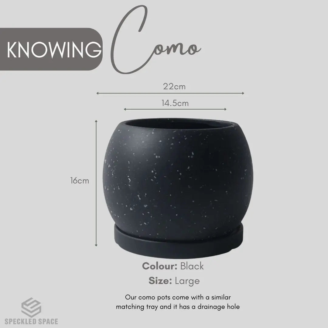 Como Ceramic Flower Pot Small & Medium Flower Pot Speckled Space