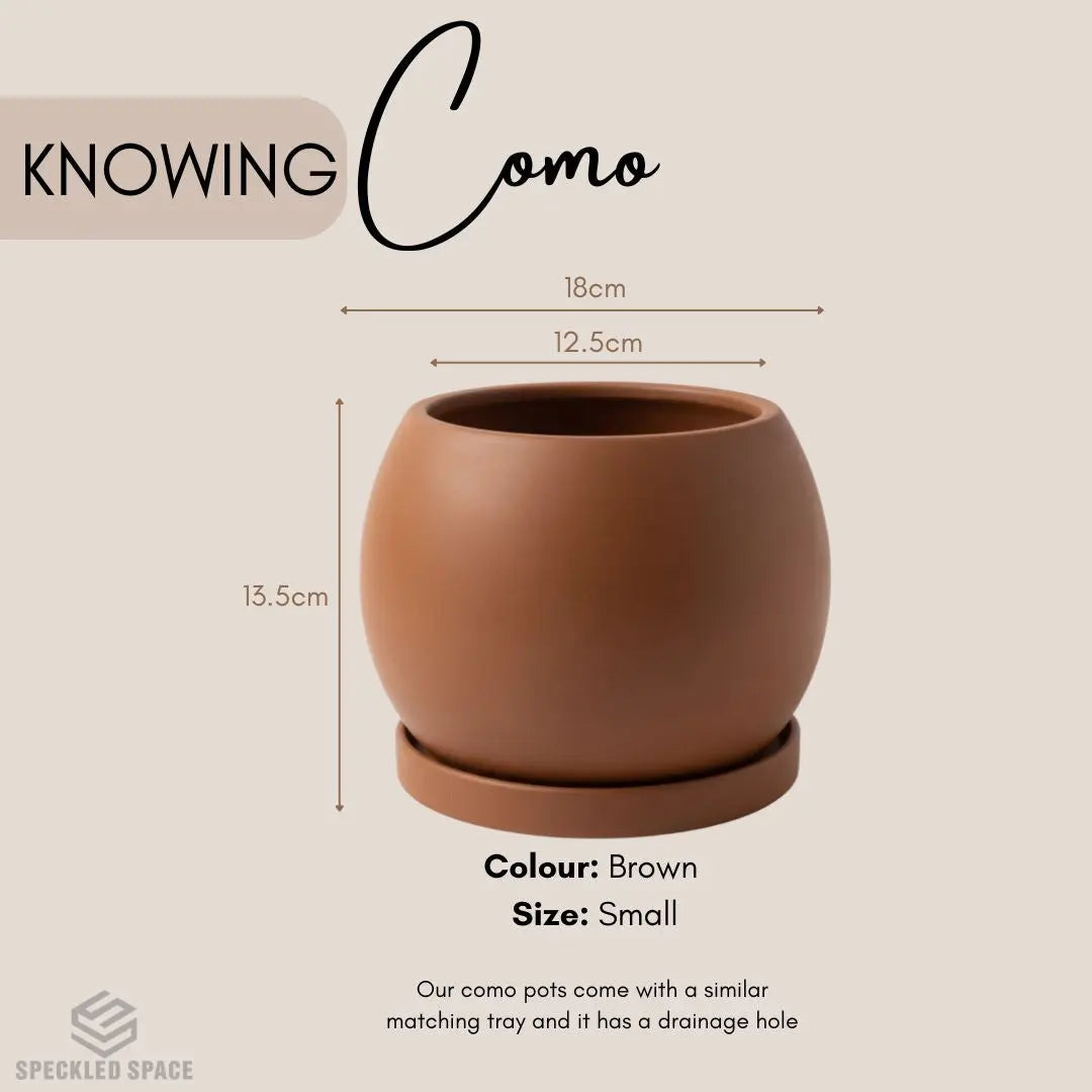 Como Ceramic Flower Pot Small & Medium Flower Pot Speckled Space