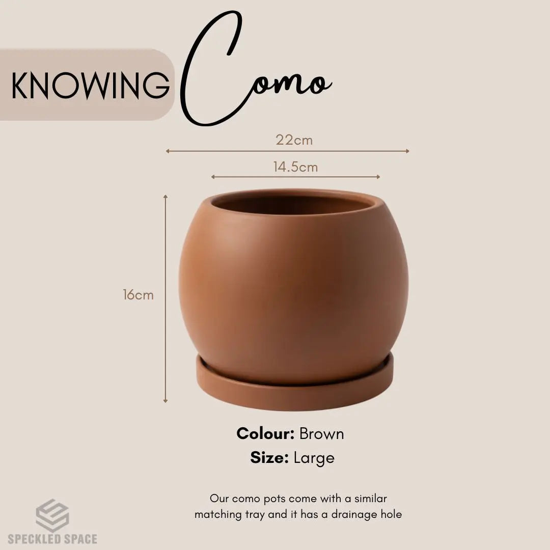 Como Ceramic Flower Pot Small & Medium Flower Pot Speckled Space