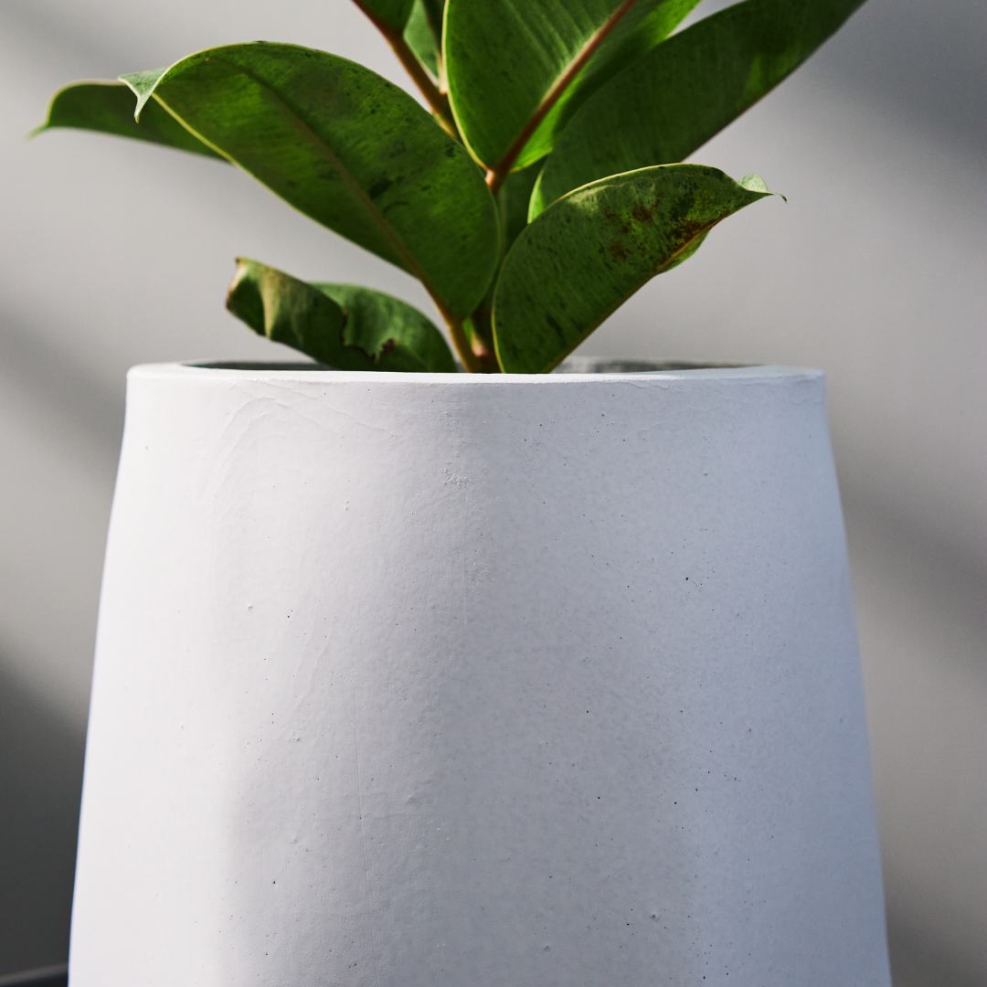 Pylota Concrete Flower Pot