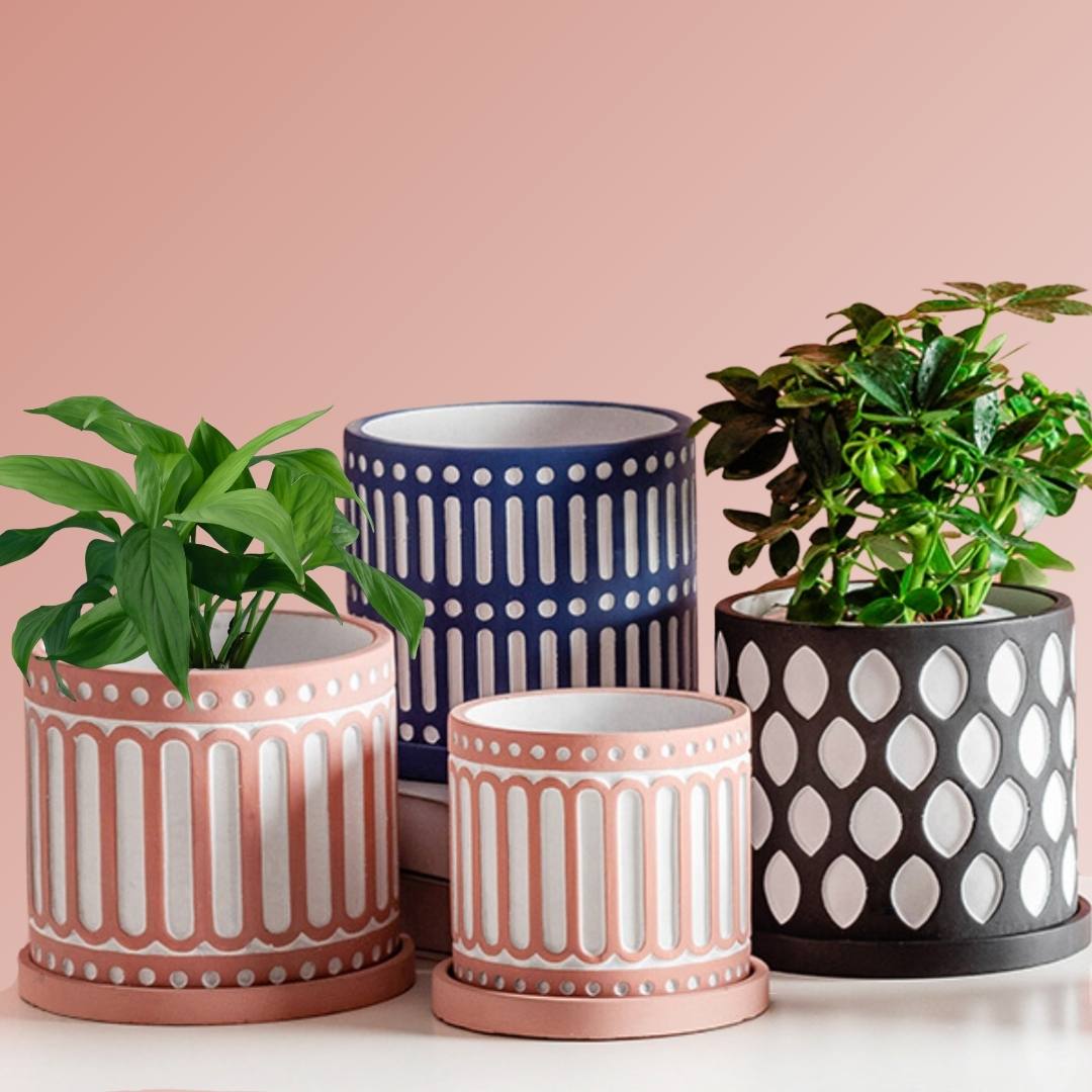 Dionne Concrete Flower Pot