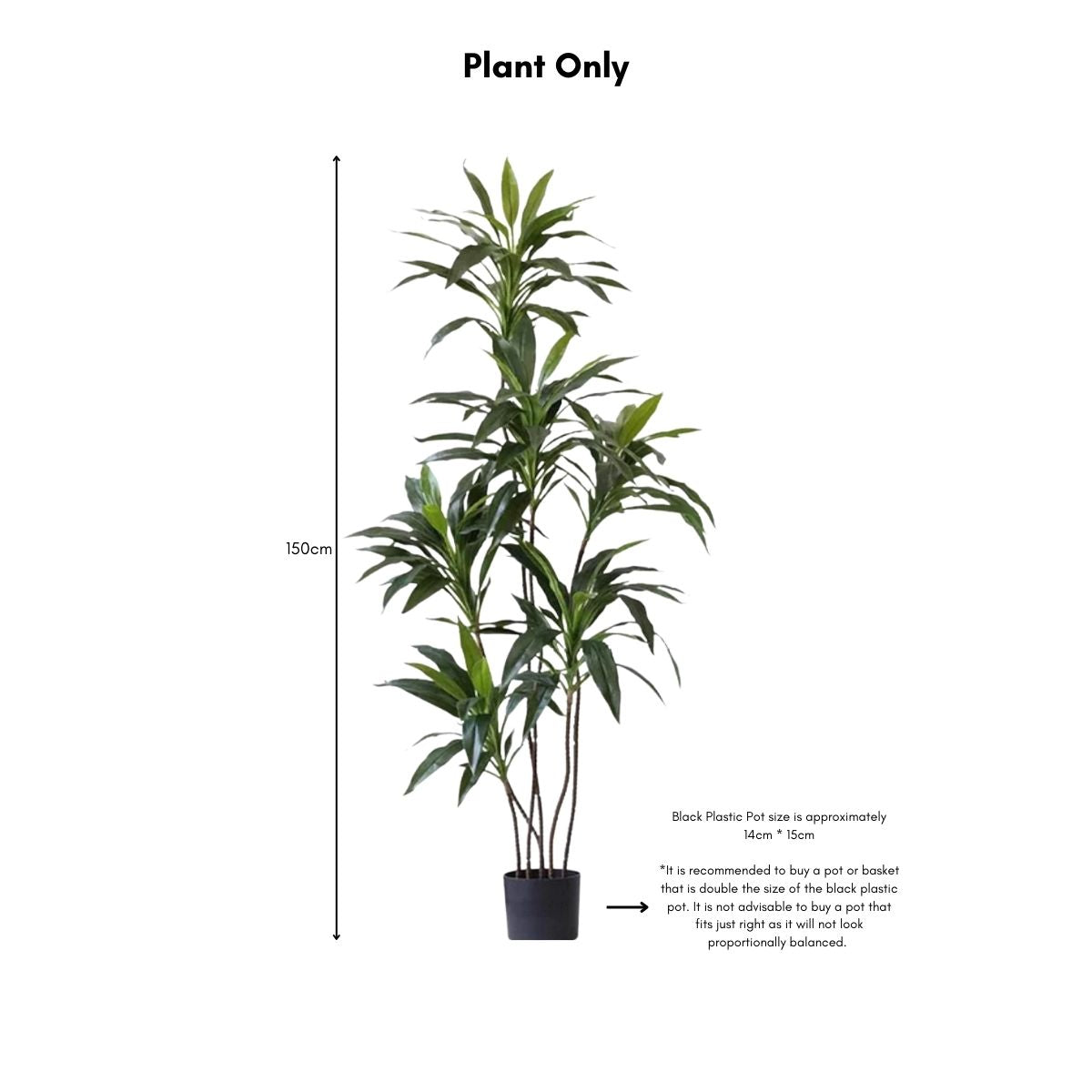 Faux Dracena Swan Plant