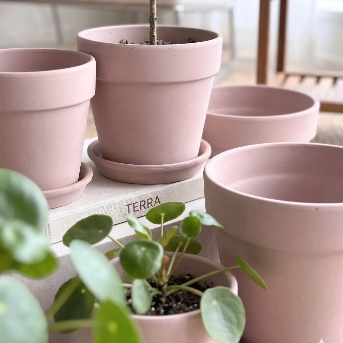 Blush Pink Terracotta Pottery Flower Pot Small & Medium Flower Pot Speckled Space
