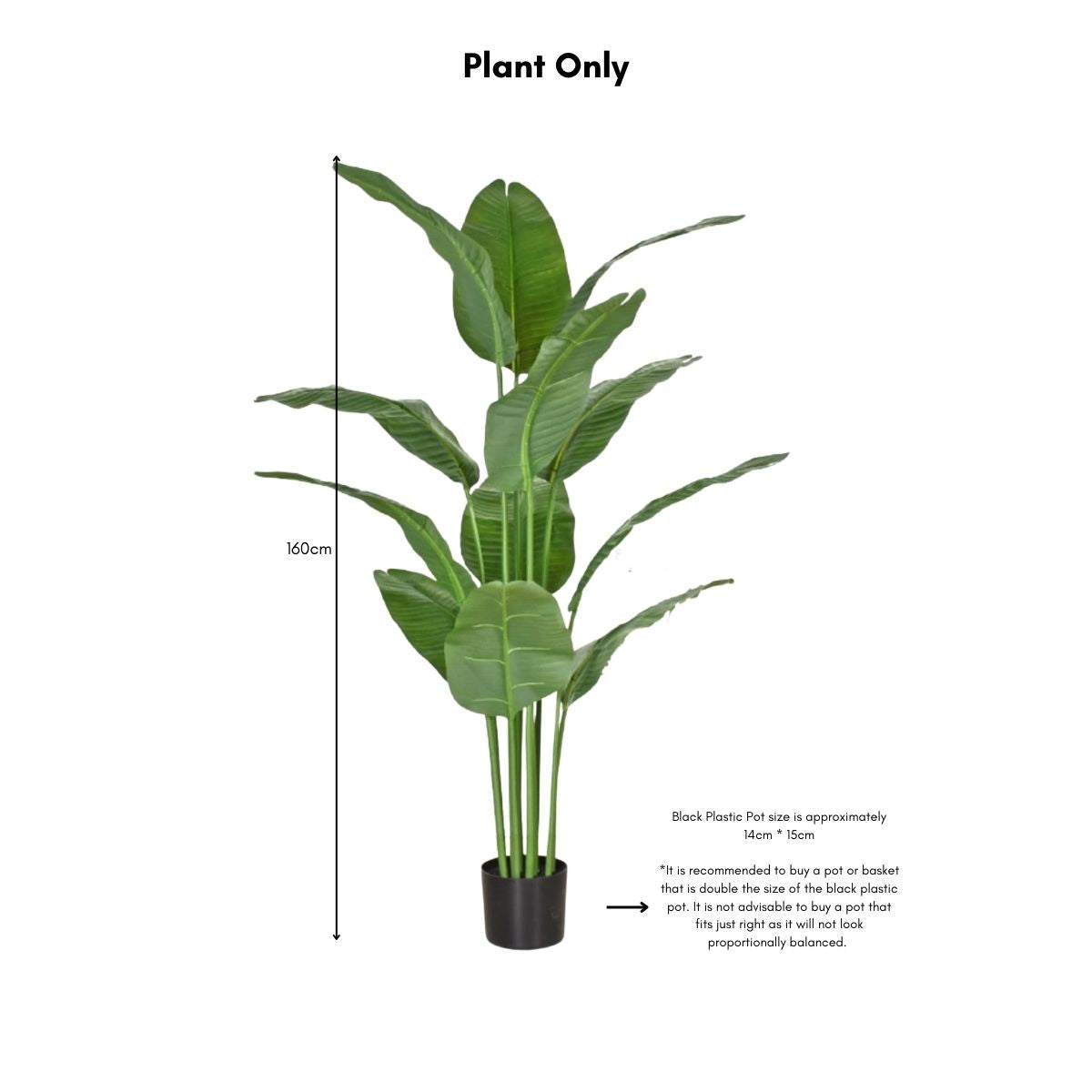 Faux Banana Leaf / Ravenala Plant - 160cm