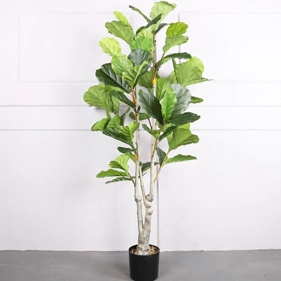 Artificial Ficus Plant - 170cm-Speckled Space