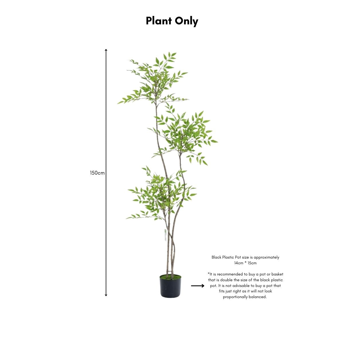 Faux Sky Bamboo Plant