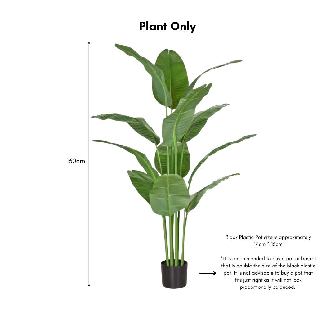 Artificial Bird of Paradise by