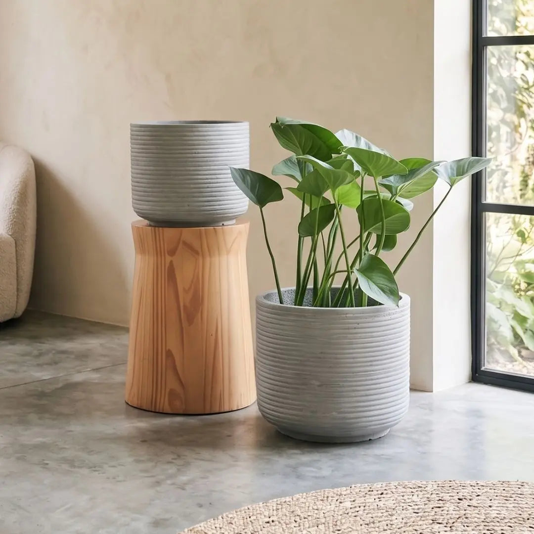 Pylota Concrete Flower Pot - Design M My Store