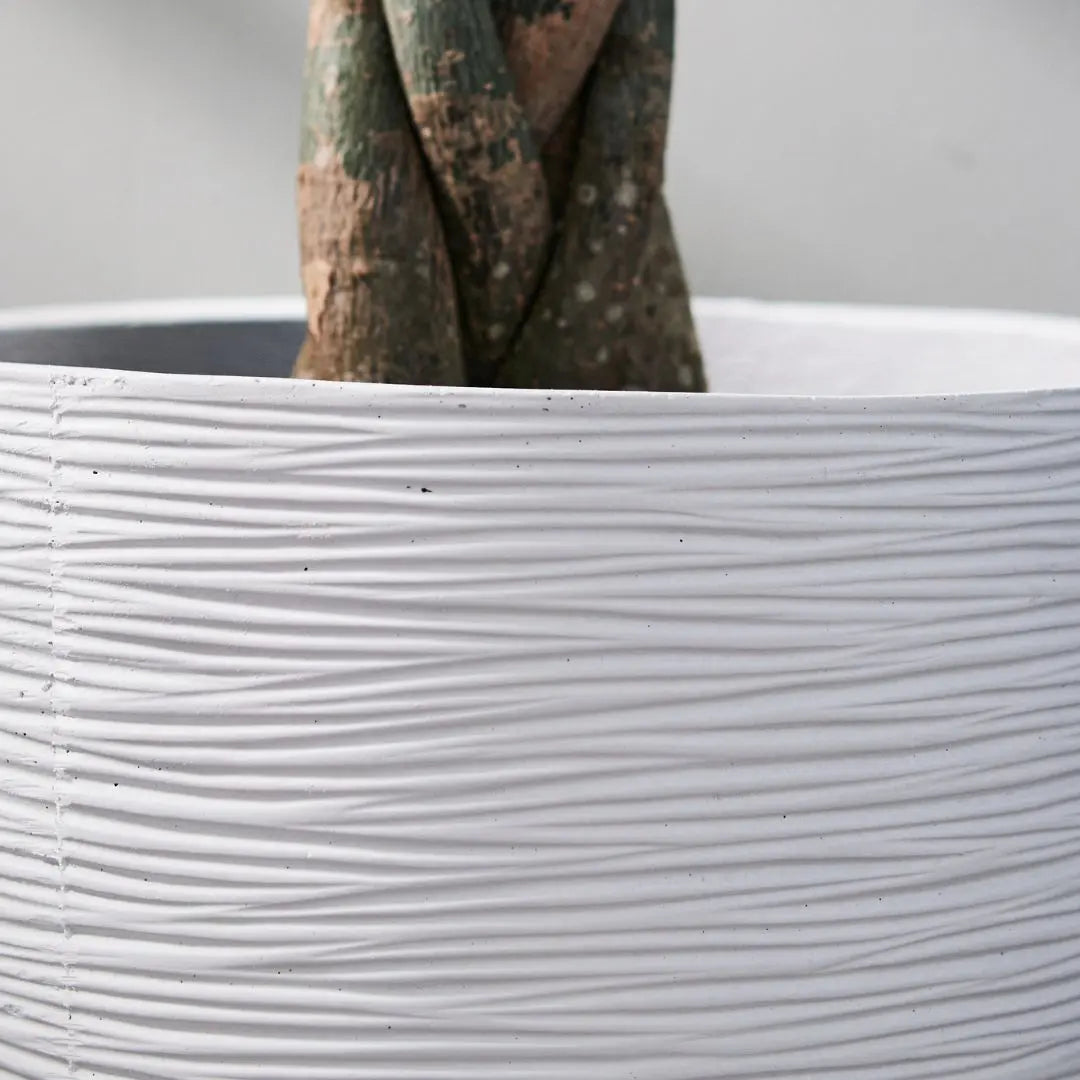 Pylota White Concrete Flower Pot - Design E Speckled Space