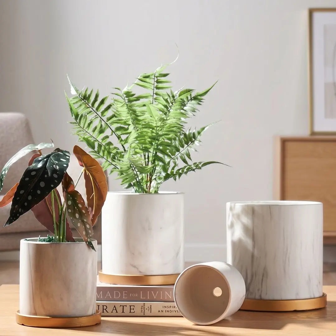 Mobie Ceramic Flower Pot