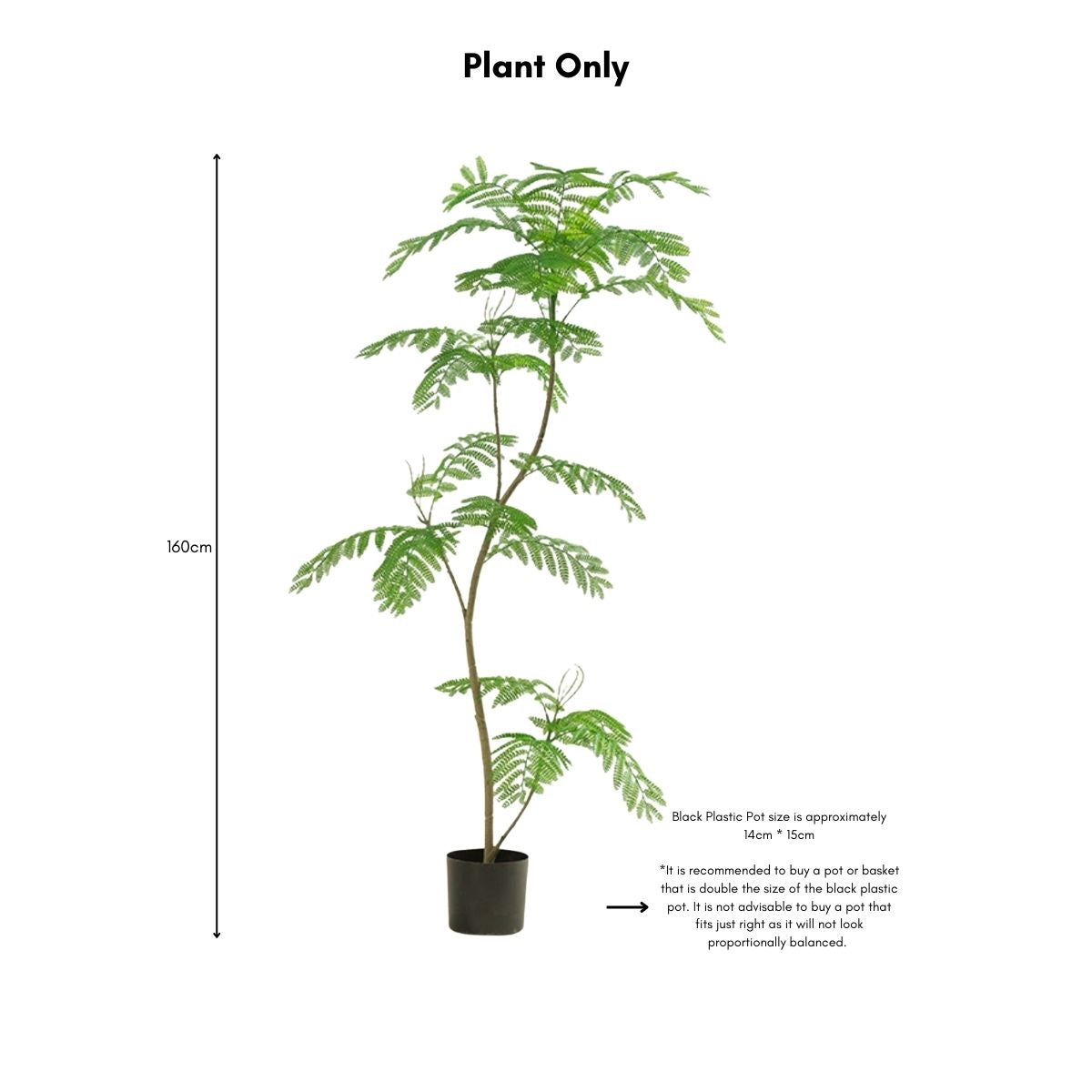 Faux Mimosifolia Tree