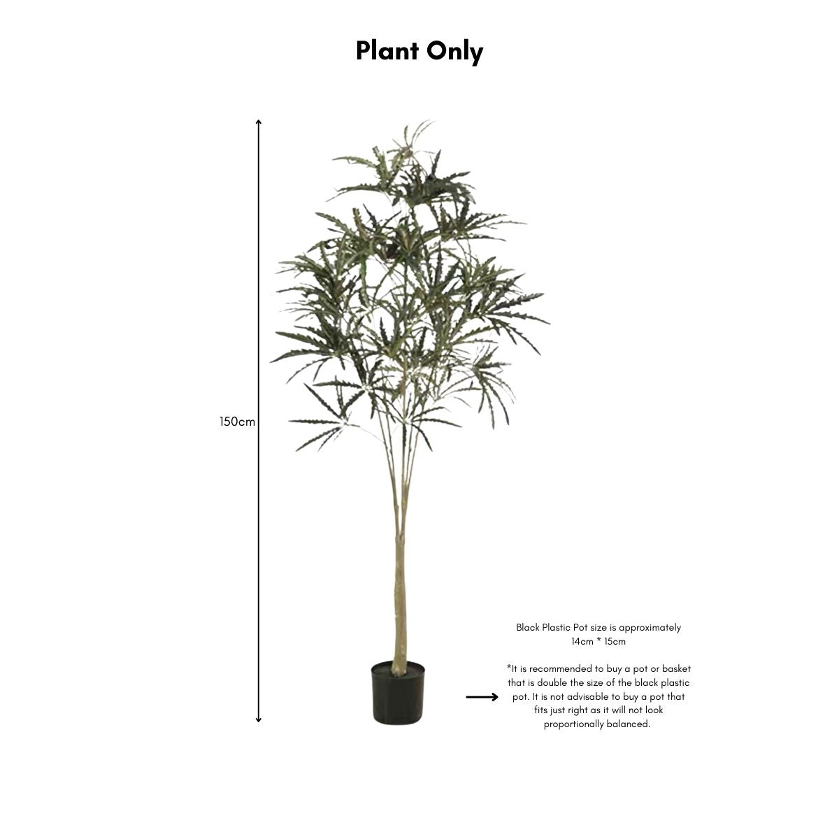 Faux False Aralia Plant