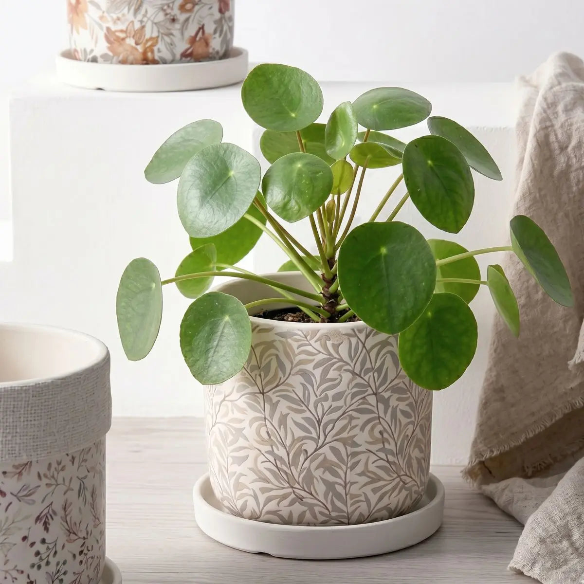 Floral Series Ceramic Flower Pot Speckled Space