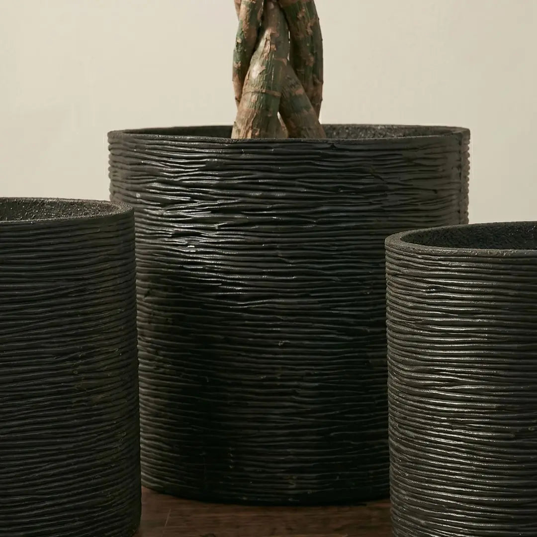 Pylota Black Concrete Flower Pot - Design D Speckled Space