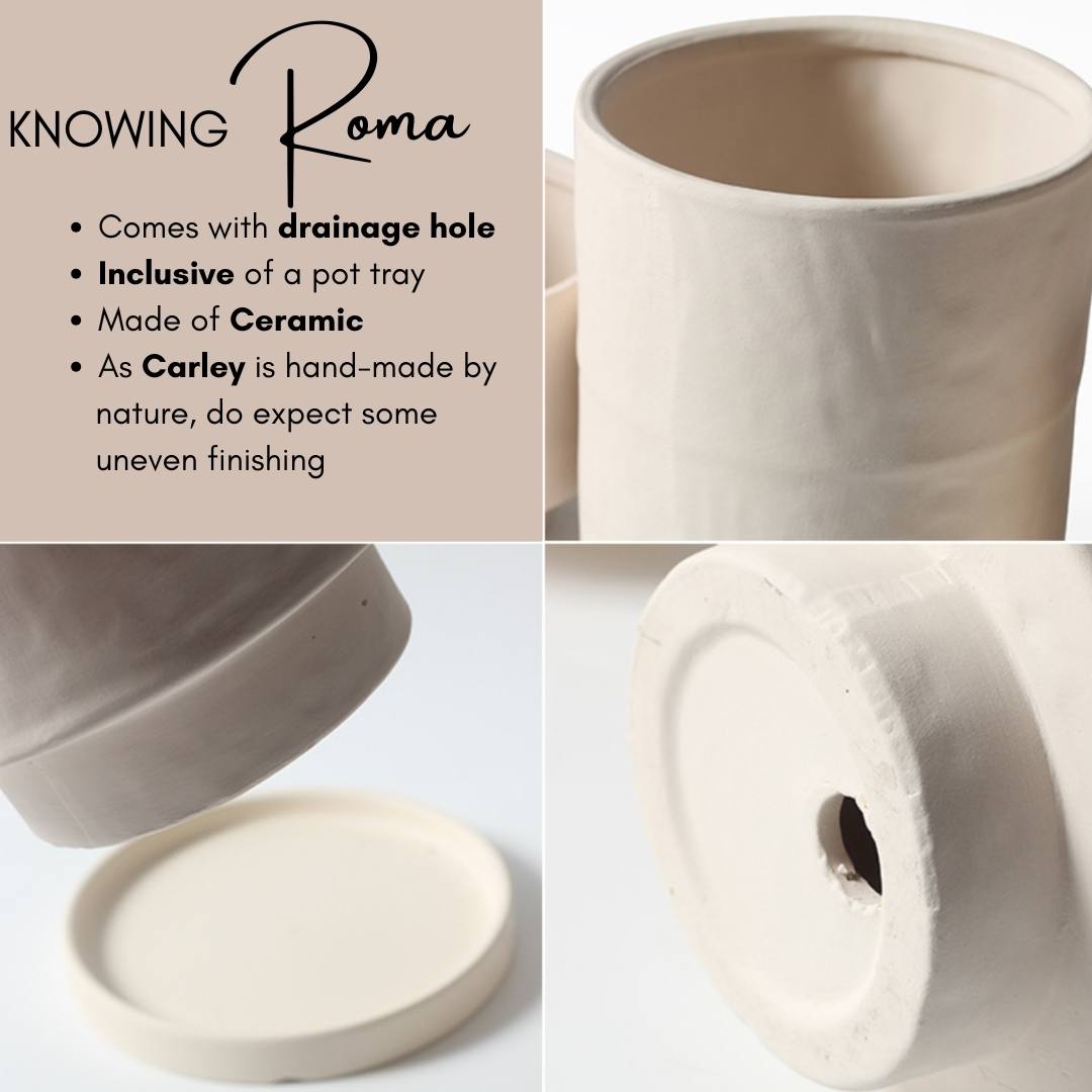 Roma Ceramic Flower Pot