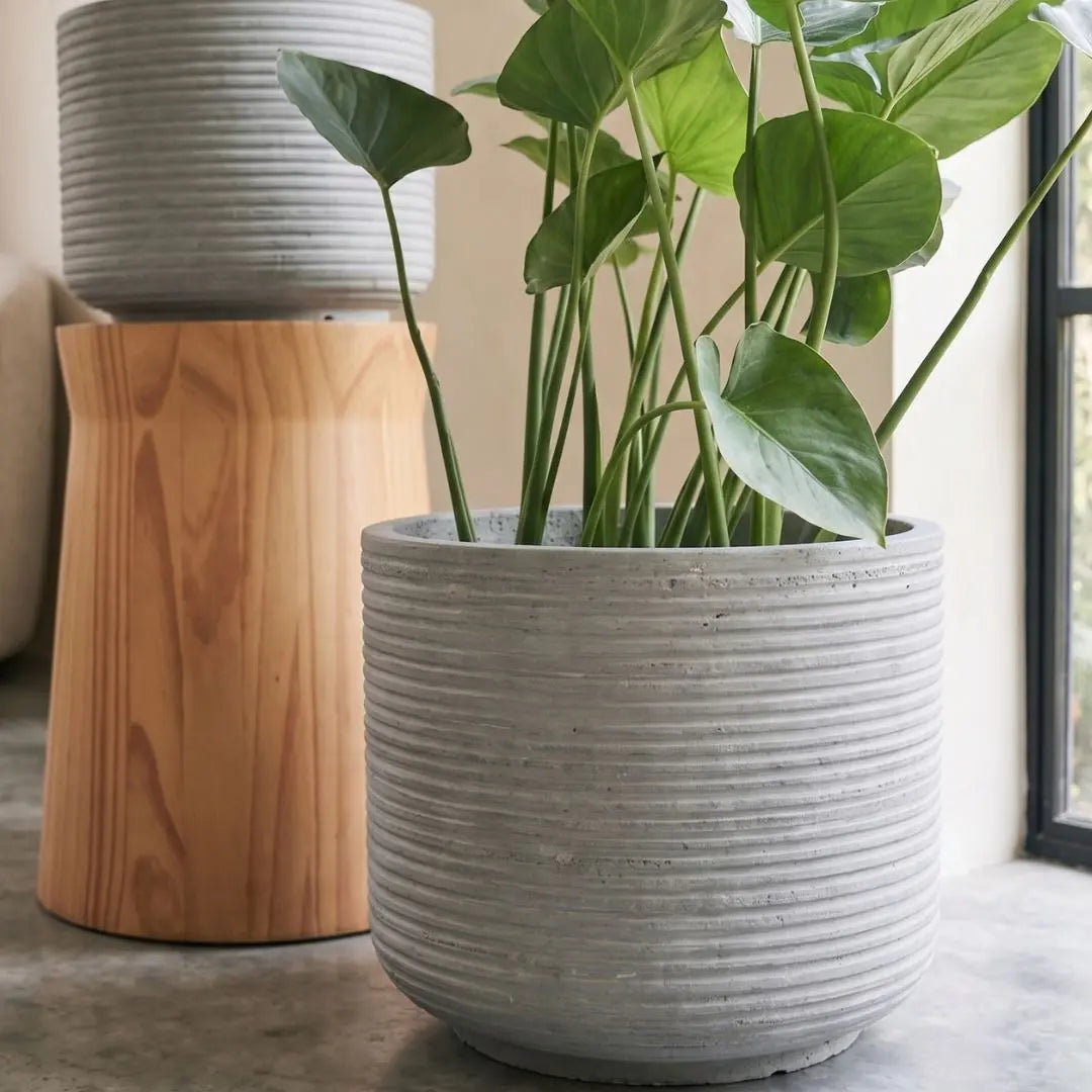 Pylota Concrete Flower Pot - Design M My Store