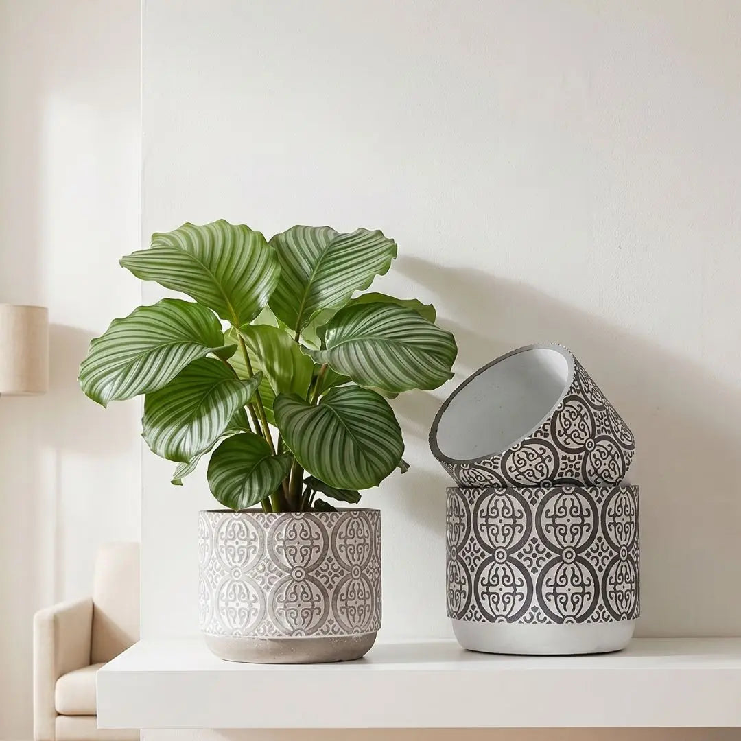 Chrisley Concrete Flower Pot Small & Medium Flower Pot Speckled Space