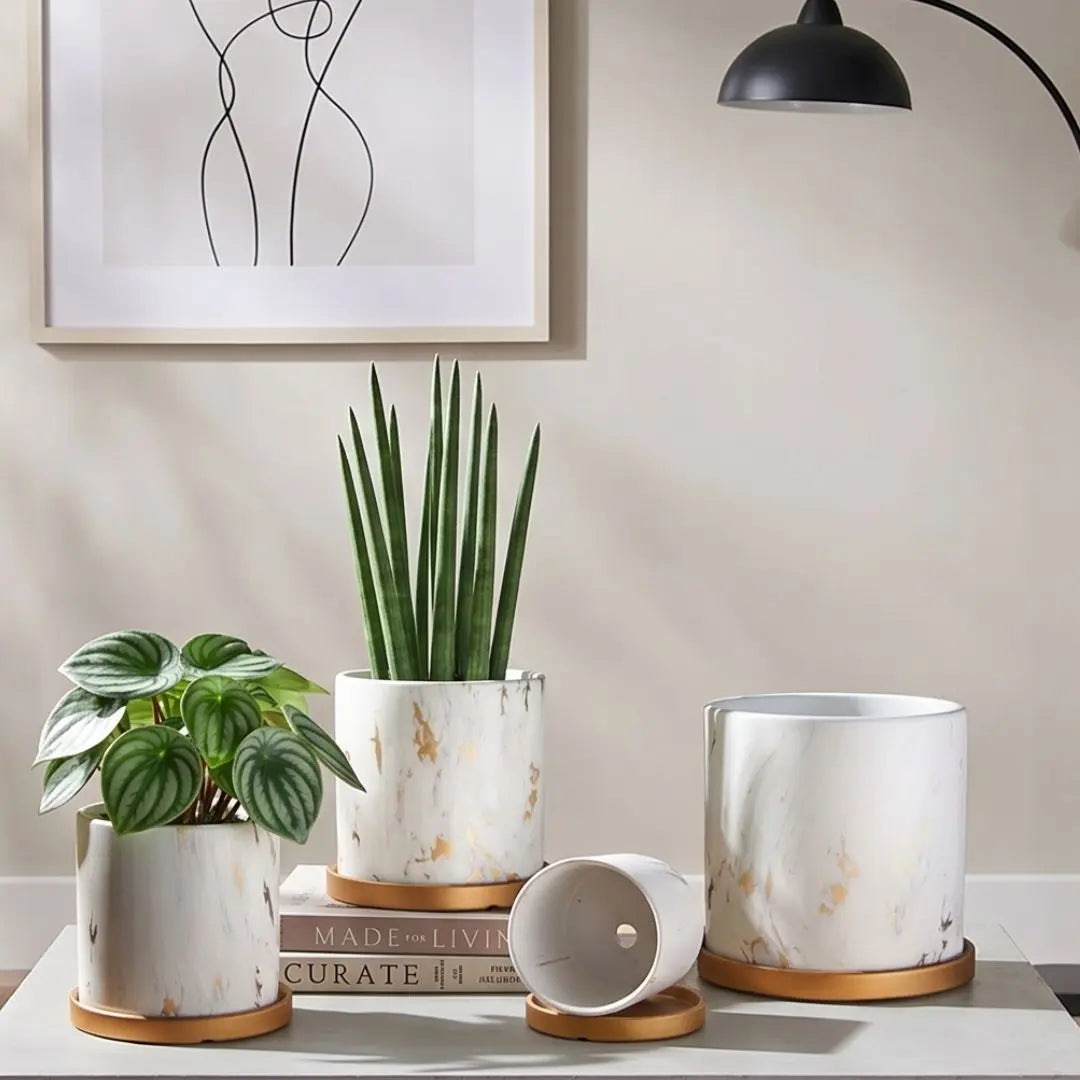 Miygan Marble Gold Ceramic Flower Pot Small & Medium Flower Pot Speckled Space