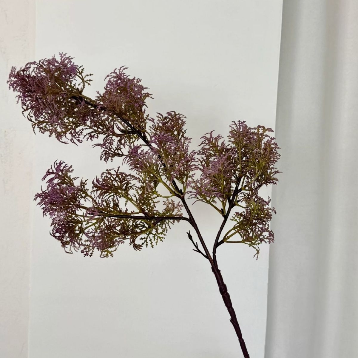 Faux Asparagus Macowanii Branch - Purple