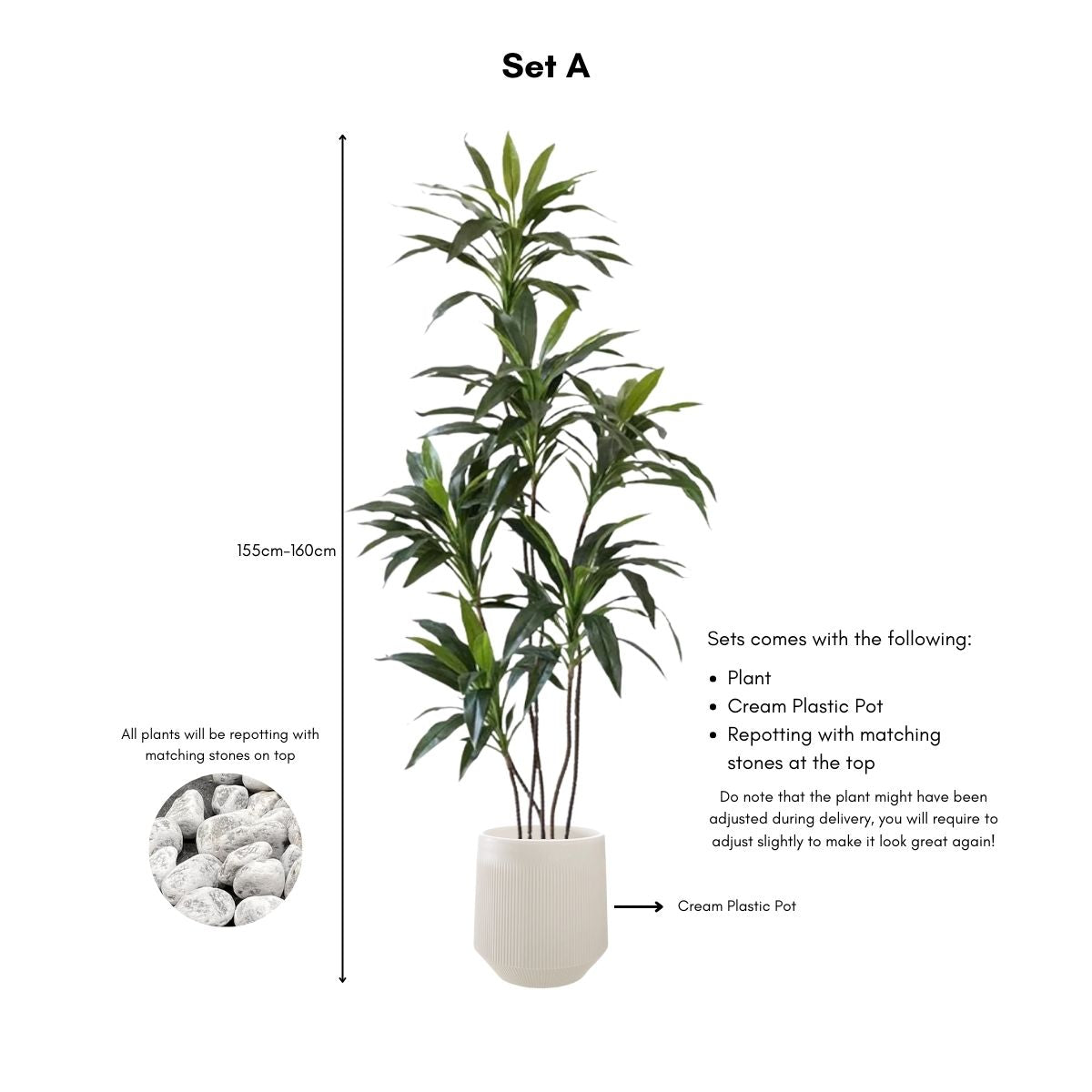 Faux Dracena Swan Plant