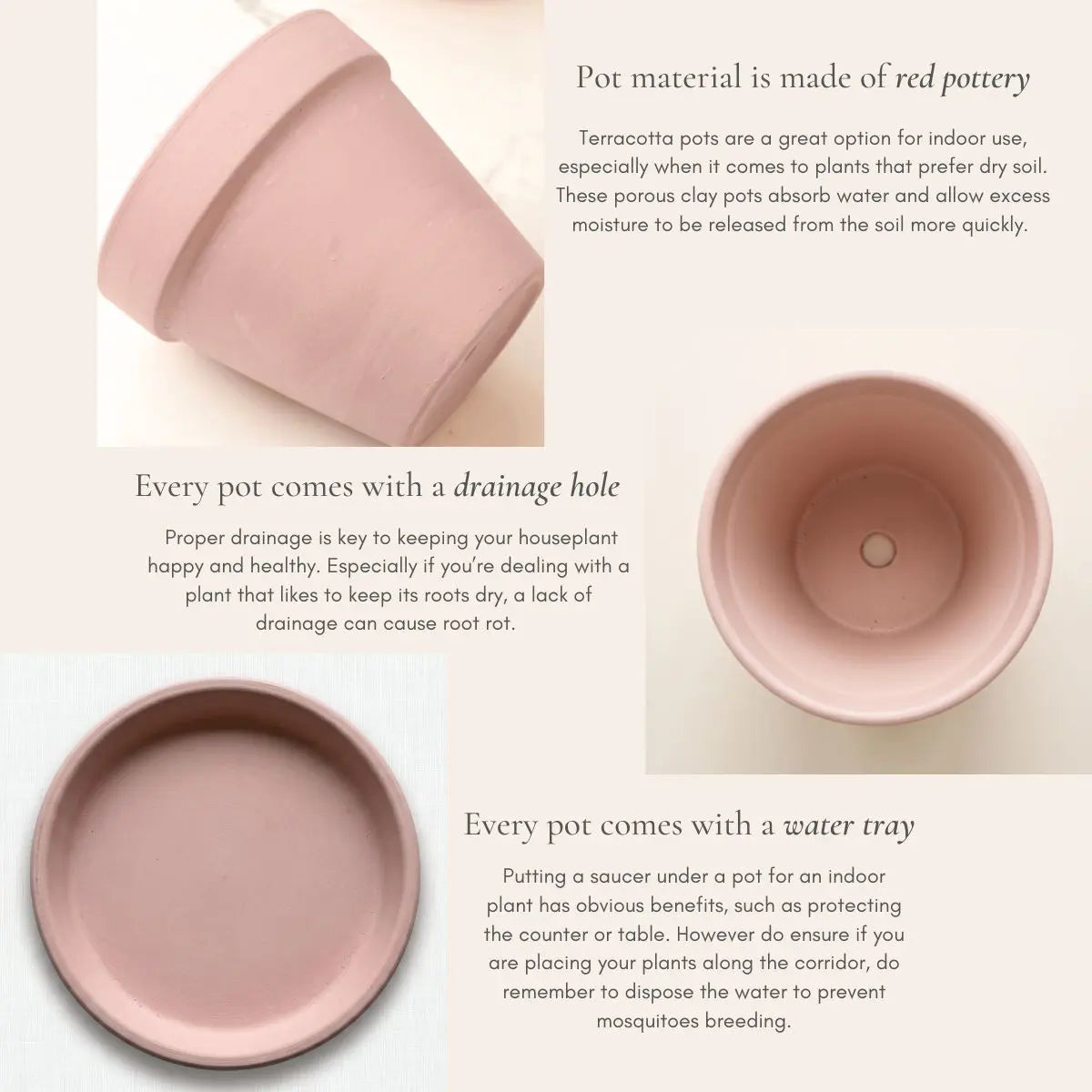 Blush Pink Terracotta Pottery Flower Pot Small & Medium Flower Pot Speckled Space
