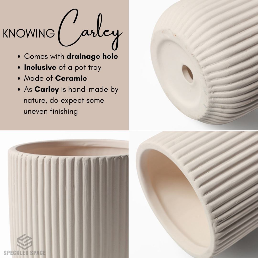 Carley Ceramic Flower Pot
