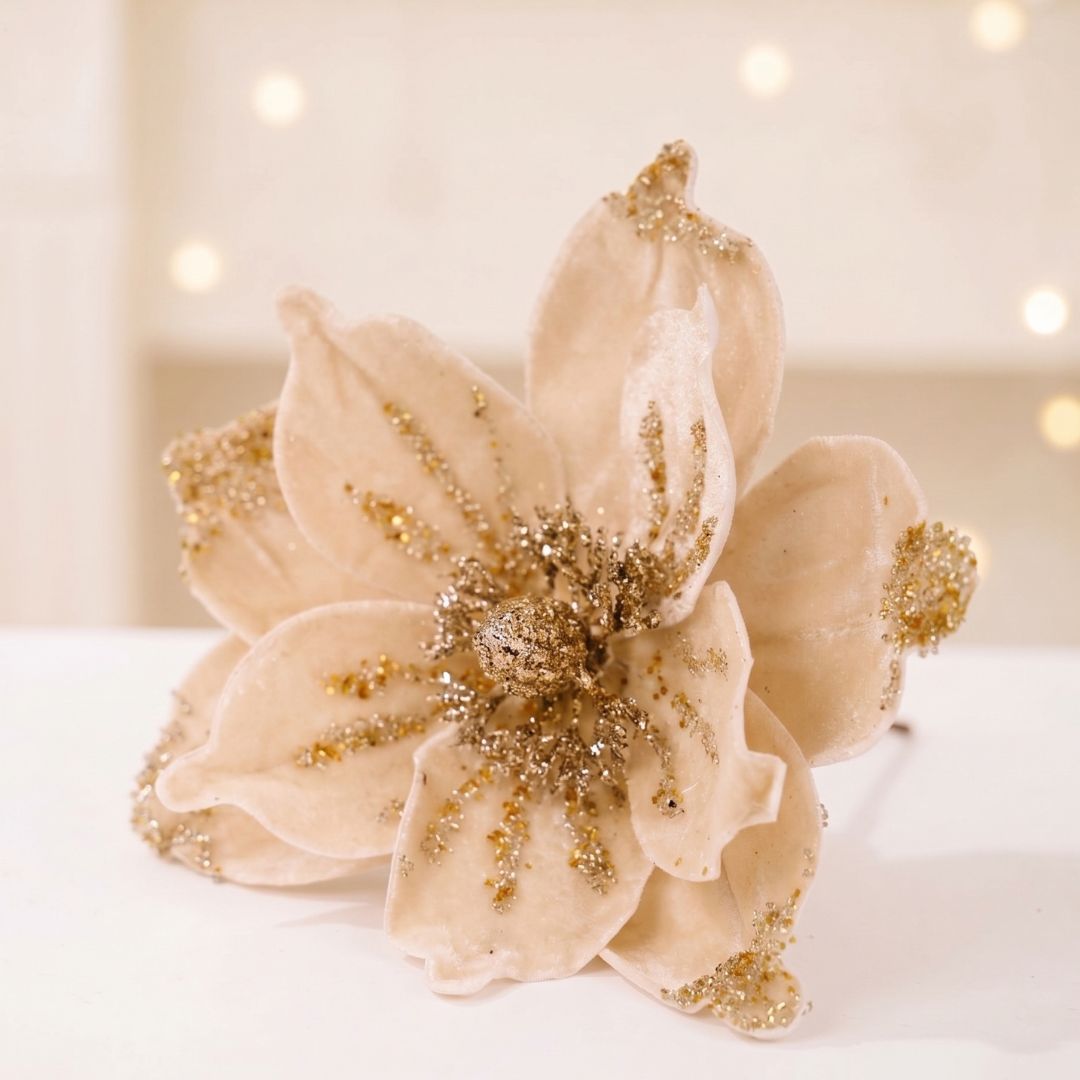 Cream Poinsettia Flower