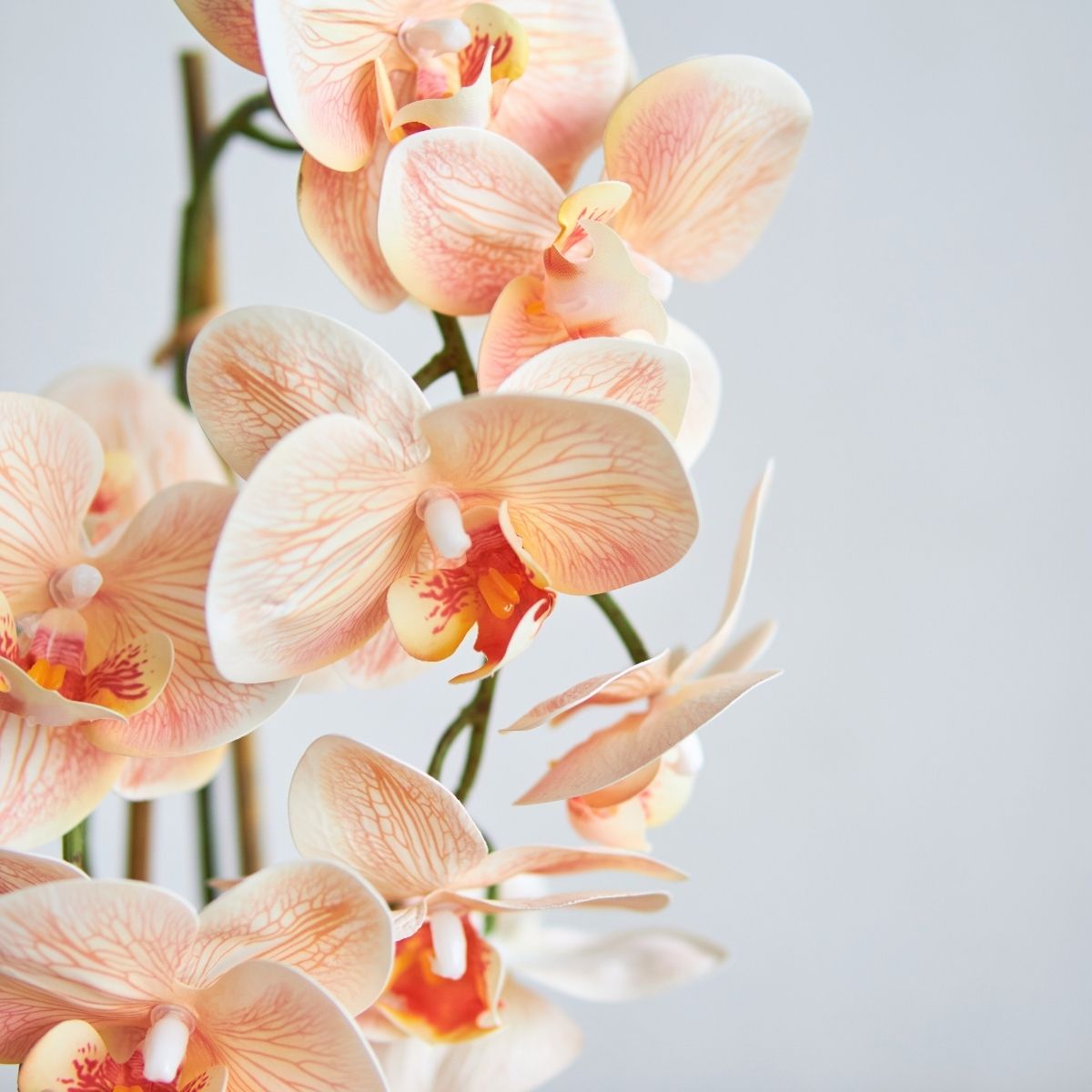 Faux Orchid Floral Arrangement